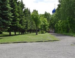 Пензенец попросил организовать парк в микрорайоне "Заря"