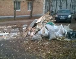 Кабмин поддержал законопроект о штрафах за выброс мусора из машины