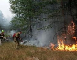 Пензенская область в числе лучших по оперативности тушения лесных пожаров