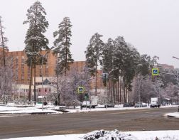 В Заречный доставили белгородских интернет-мошенников