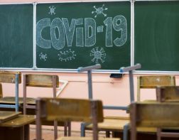 Пензенцы  жалуются на проблемы с дистанционным обучением школьников