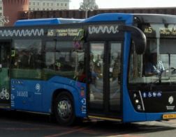 Зареченцам ответили, когда появятся автобусы из Москвы