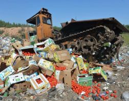 ﻿За пять лет в России уничтожены почти 1000 тонн санкционных продуктов
