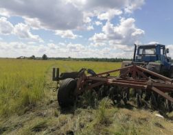 В области во время полевых работ водителя придавило трактором