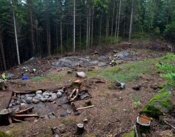 Студенты ПГУ обнаружили место сражения в Золотаревском городище