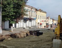 Липы на улице Московской могут погибнуть