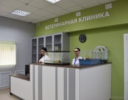 В пензенском зоопарке открылась ветеринарная клиника