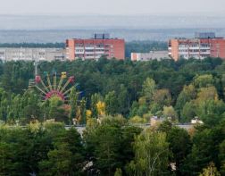 В Заречном загорелся пух в центральном парке.ВИДЕО