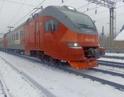 В Бессоновском районе под поезд попал лось