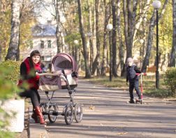 В Пензе появятся 5 лесопарков