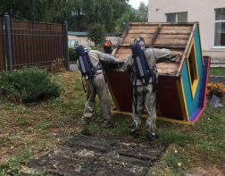 В Пензе в детсаду №99 опять обнаружили осиное гнездо