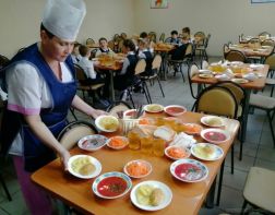 Пензенские школы и детские сады отчитаются об организации питания 