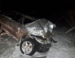 В Рязанской области пензенец попал в жуткую аварию с фурой