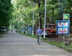 На Олимпийской аллее хотят построить общественный туалет