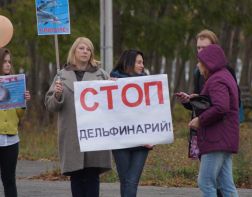 Пензенские защитники дельфинов вышли на улицу с протестом