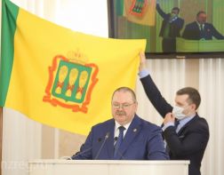 Депутаты утвердили новый флаг Пензенской области