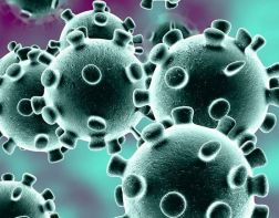 Вылечившийся от коронавируса может выделять вирус до 90 дней