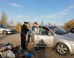 В Пензе за организацию свалки привлекли к ответственности дачников