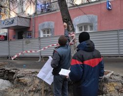 На улице Московской уберут аварийные и сухие деревья