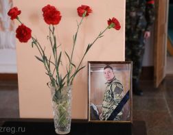 Уроженец Никольска погиб в ходе спецоперации на Украине 