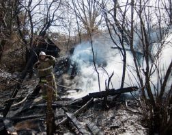 В Пензе пожар уничтожил 1,5 гектара леса