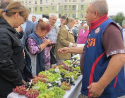 На площади Ленина заработает ярмарка