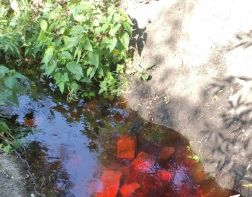 Пензенцев беспокоит красный ручей, впадающий в Мокшу