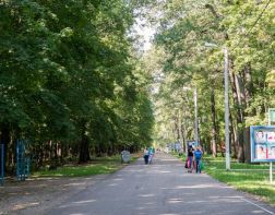 На Олимпийской аллее количество мышей превышает показатели в 2,4 раза