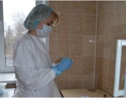 В Пензенской области от укусов клещей пострадали 23 человека 