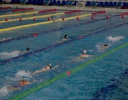 В Пензе научат плавать 10 тысяч детей