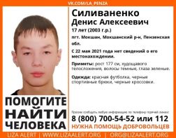 В Пензенской области ищут 17-летнего парня
