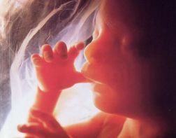 Пензенская епархия против абортов