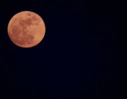 Пензенцы увидят полутеневое затмение Луны