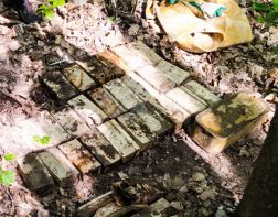 В Пензенском лесу нашли 7 тыс патронов
