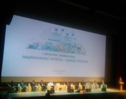 На реализацию нацпроектов Пензенской области выделят более 31 млрд рублей