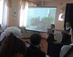 Пензенские школьники обсудили численность голубей﻿ и проблемы мусора
