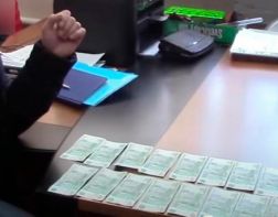 Бастрыкин взял на контроль дело о взятках в пензенском управлении по миграции