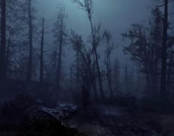 В Пензенском районе два дня искали заблудившегося грибника
