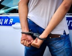 В Пензе полицейские изъяли 600 граммов наркотиков и 100 закладок
