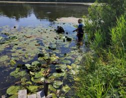 В Пензе спасатели достали со дна водоемов двух утонувших мужчин