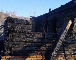 В рождественскую ночь в огне погибли двое жителей Пензенской области