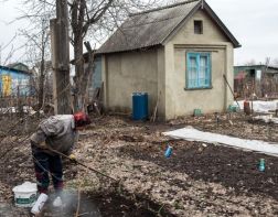 У зареченских садоводов хотят отобрать нажитое