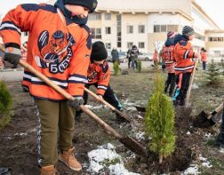 Зареченские хоккеисты посадили аллею