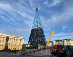 Главную ёлку Пензы начали украшать иголками 