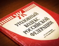 Зареченским автоугонщикам вынесли приговор