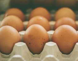 Пензенское УФАС выявило сговор между производителями яиц 