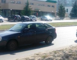 В Пензе из машины на ходу выбросили котенка