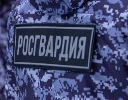 В Пензе пьяный муж пытался зарезать супругу