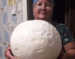 Пензячка нашла на огороде чудо-гриб