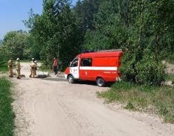 Зареченец помог огнеборцам проехать в лес к очагу пожара